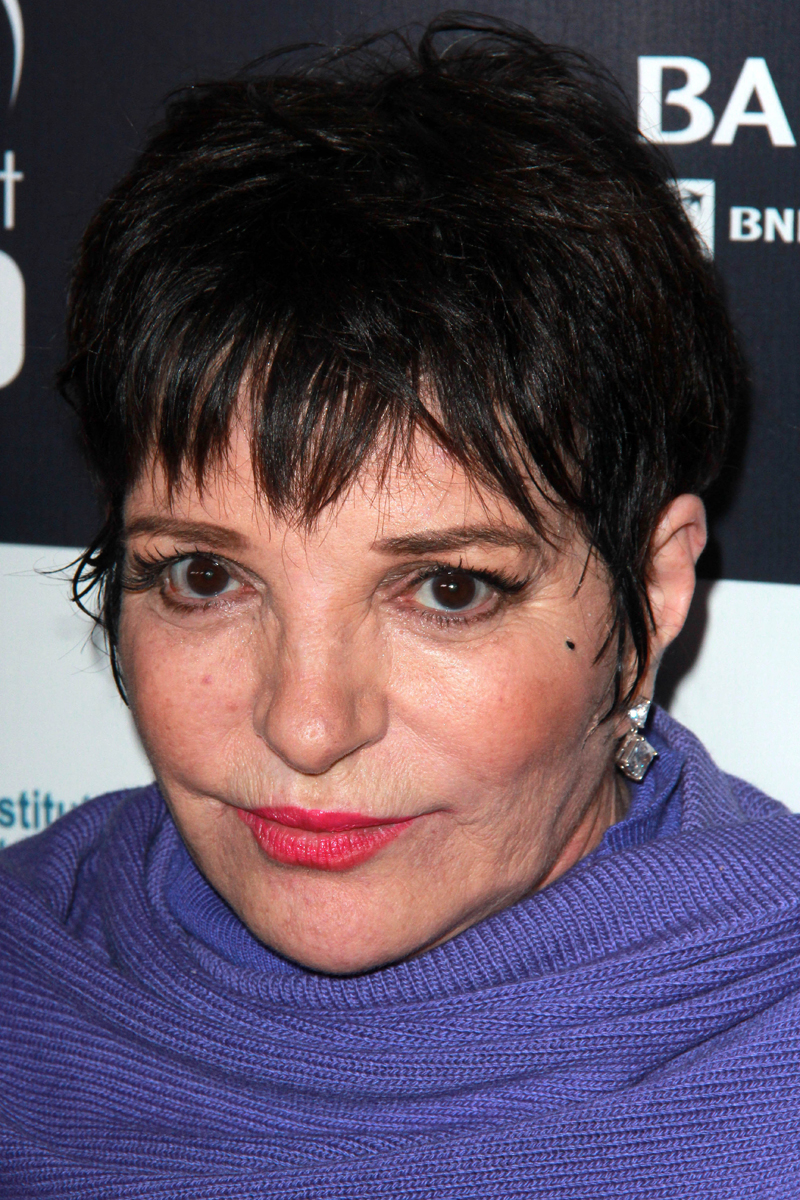 Liza Minnelli — Dying Star's Final Days | National Enquirer