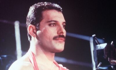 freddie mercury